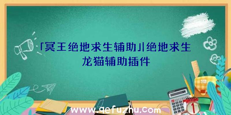 「冥王绝地求生辅助」|绝地求生龙猫辅助插件